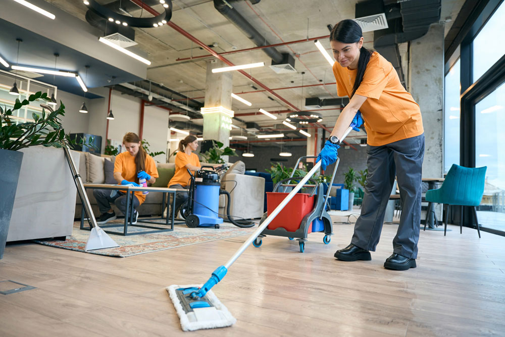 ...Nos prestations - Entretien des espaces professionnels et spécial